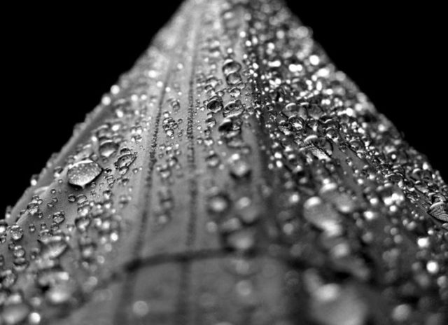 water-droplet-drop-dew-liquid-black-and-white-1247047-pxhere.com_-690x500