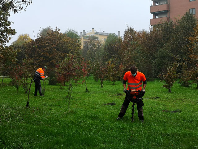 Buccinasco, 300 alberi per le aree verdi di via Emilia e via Vivaldi