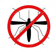 Buccinasco, Disinfestazione zanzare: evitiamo gli allarmismi